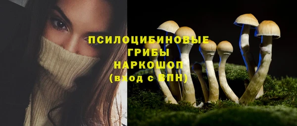 спиды Алзамай