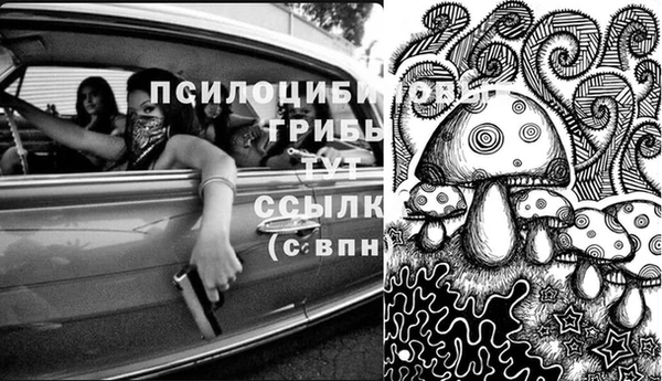 спиды Алзамай
