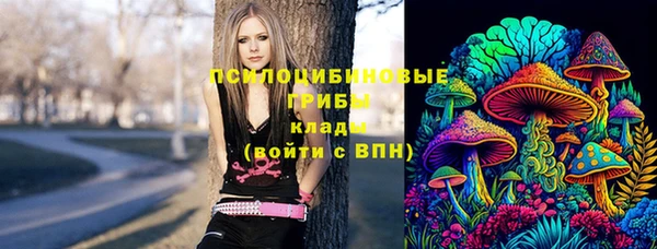 прущие крисы Алексеевка