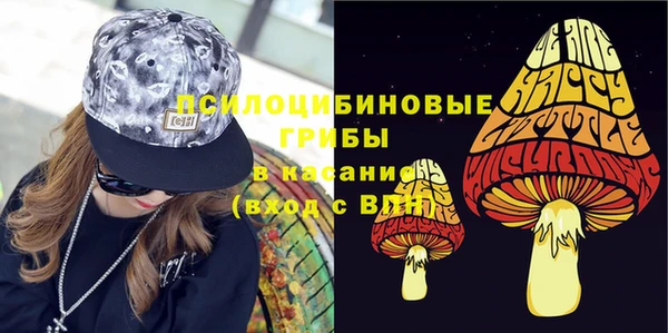 спиды Алзамай