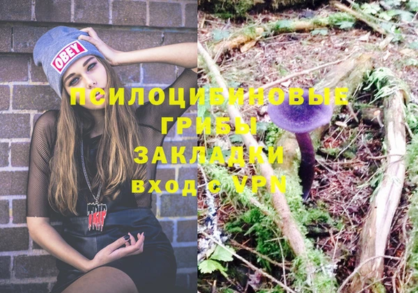 прущие крисы Алексеевка