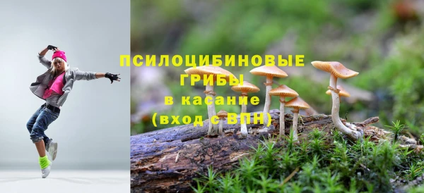 спиды Алзамай