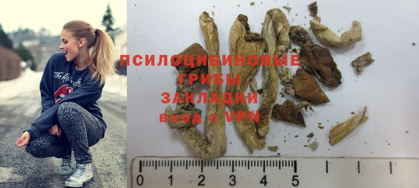 спиды Алзамай