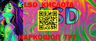 хмурый Новозыбков