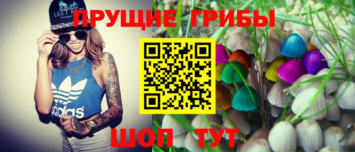 Феодосия  Галлюциногенные грибы мицелий  Вход с VPN 